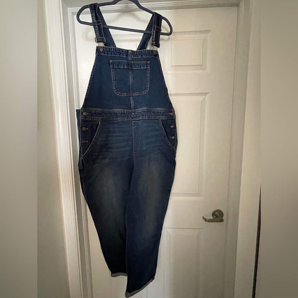 J Crew Factory denim overalls. NWT